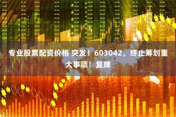 专业股票配资价格 突发！603042，终止筹划重大事项！复牌