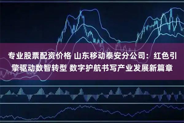 专业股票配资价格 山东移动泰安分公司：红色引擎驱动数智转型 数字护航书写产业发展新篇章