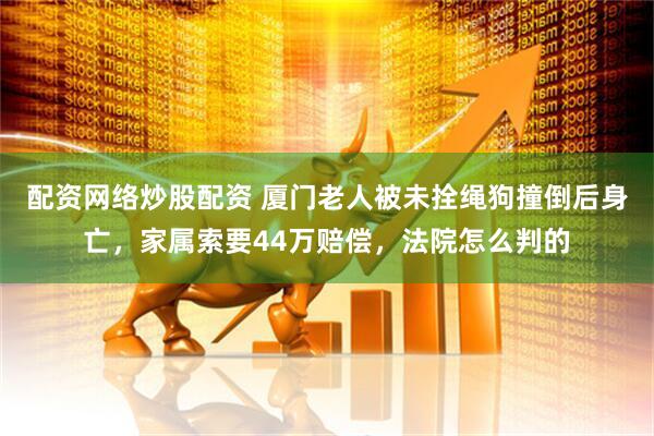 配资网络炒股配资 厦门老人被未拴绳狗撞倒后身亡，家属索要44万赔偿，法院怎么判的